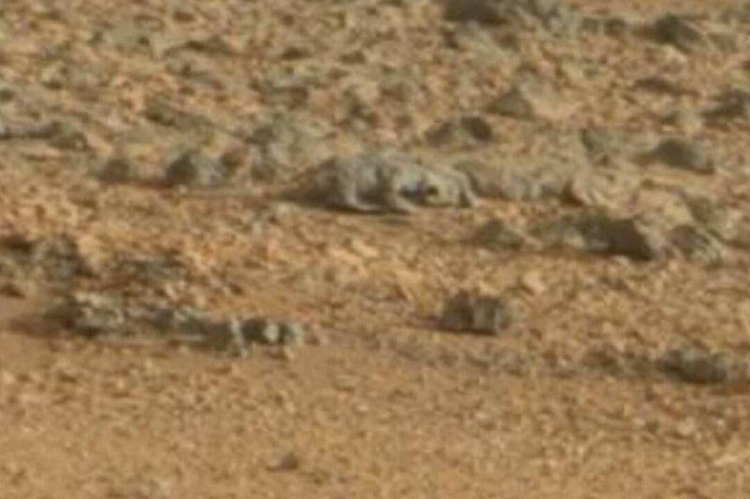 „Curiosity“ nuotrauka iš Marso: kiek driežų matai? (1, 2, ar daugiau?)