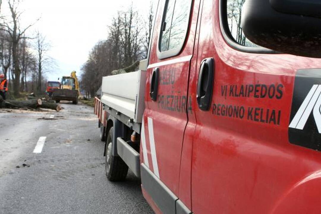 Kelininkai išraus medžius prie Plytinės kelio