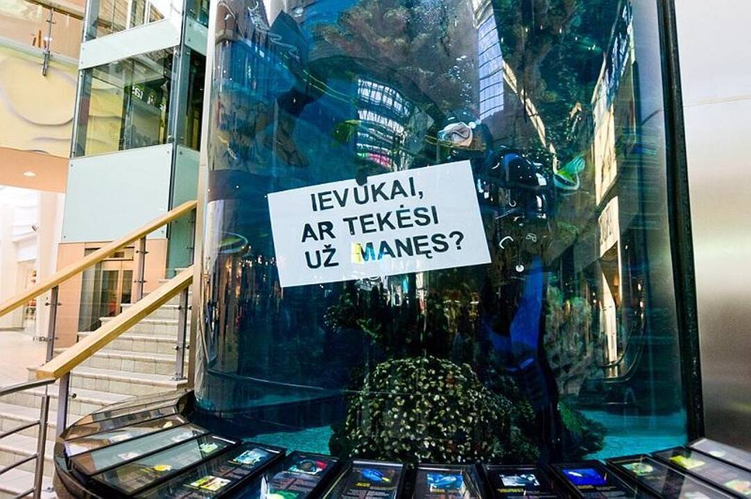Pasiūlymas tekėti – tarp akvariumo ryklių