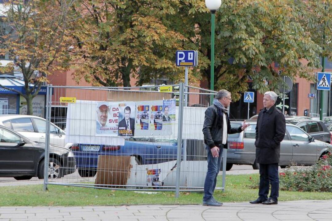 Politinė reklama šiemet leido uždirbti daugiau