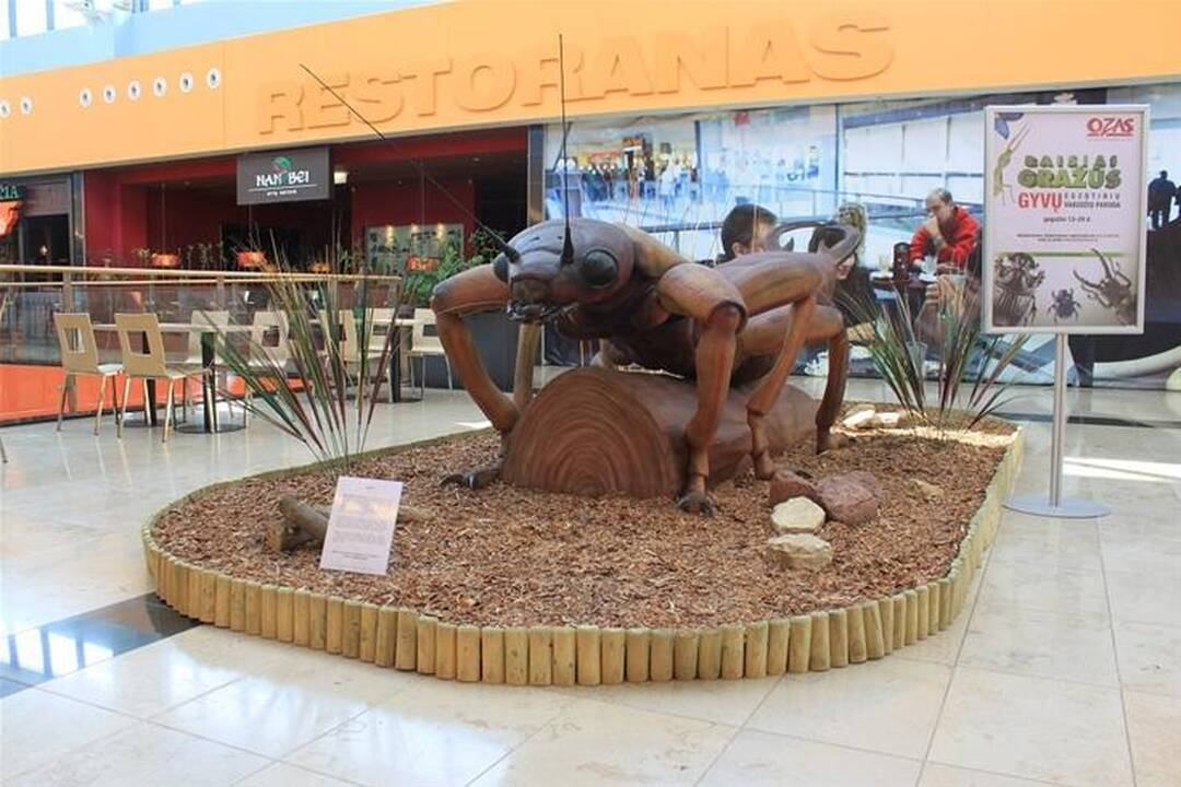 Vilniuje - egzotiškų vabzdžių paroda