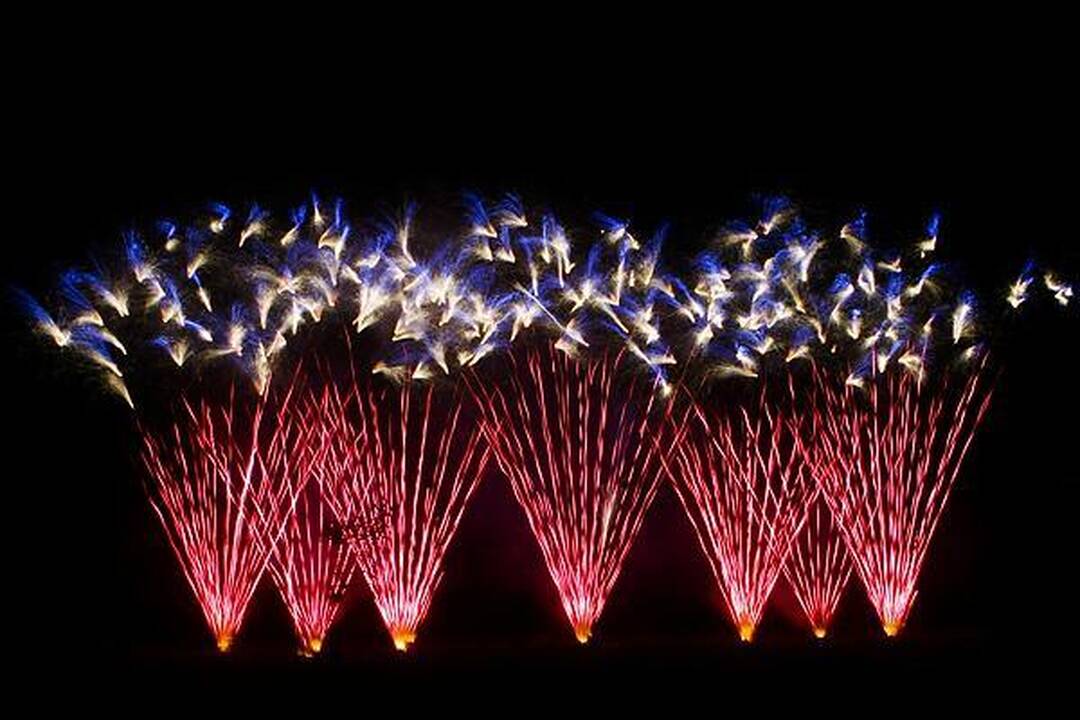 "Vilniaus fejerija 2010" laimėjo lenkai