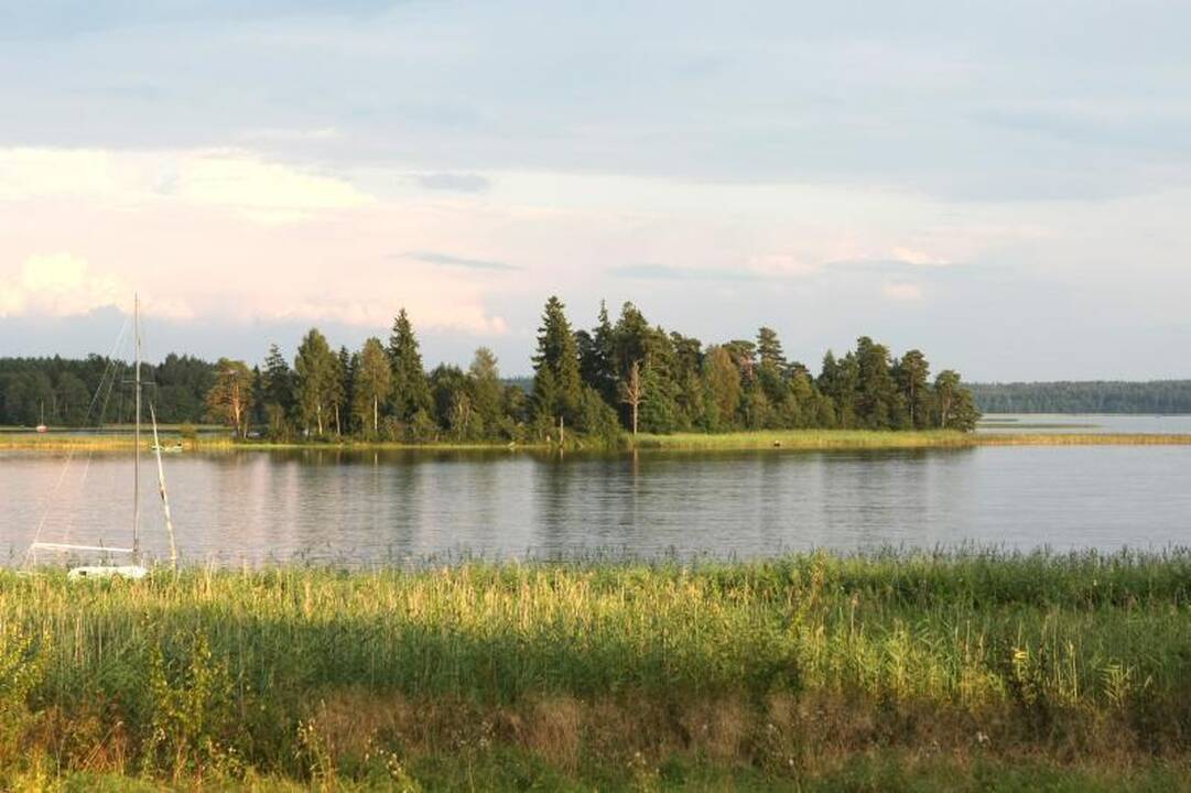Pradedama demarkuoti siena su Rusija