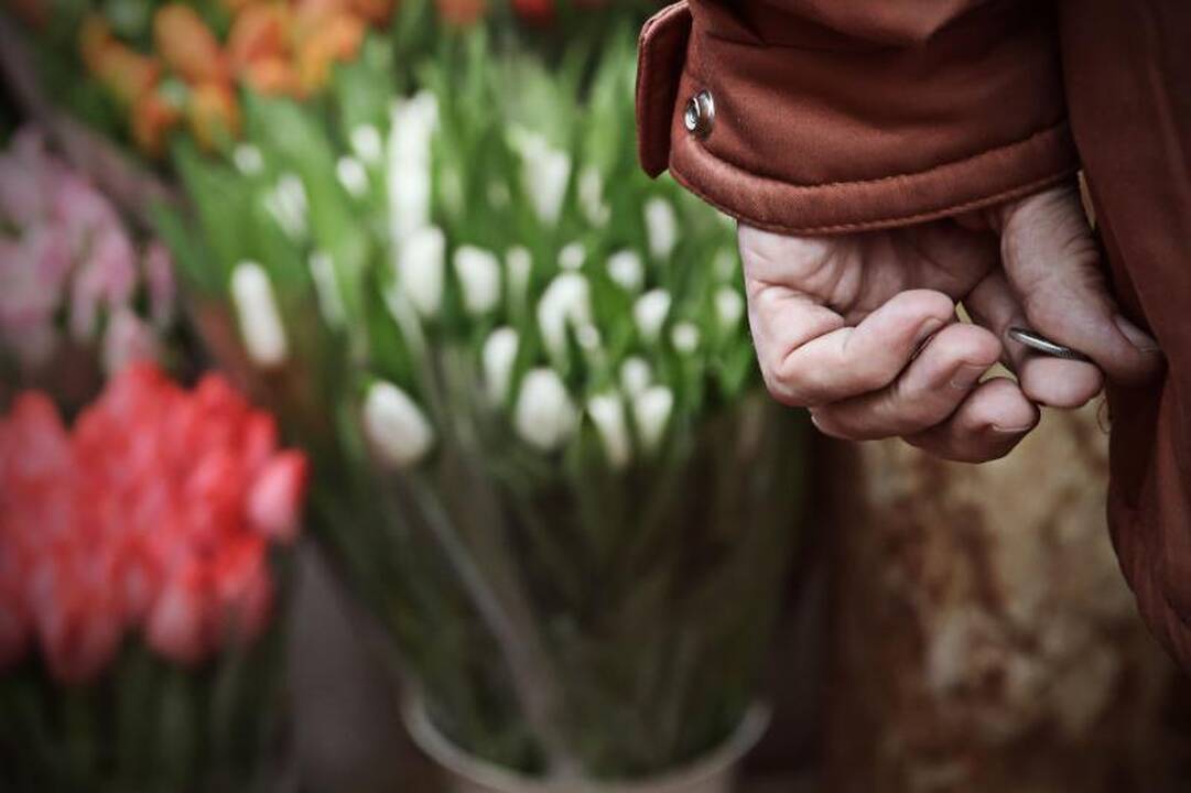 Meilės dieną Kaune – pustuštė Rotušė ir gėlių pirkimo bumas