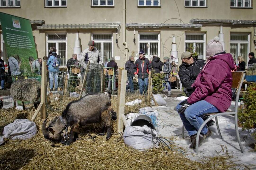 Pavasariškas oras vilniečius viliojo švęsti Atvelykį