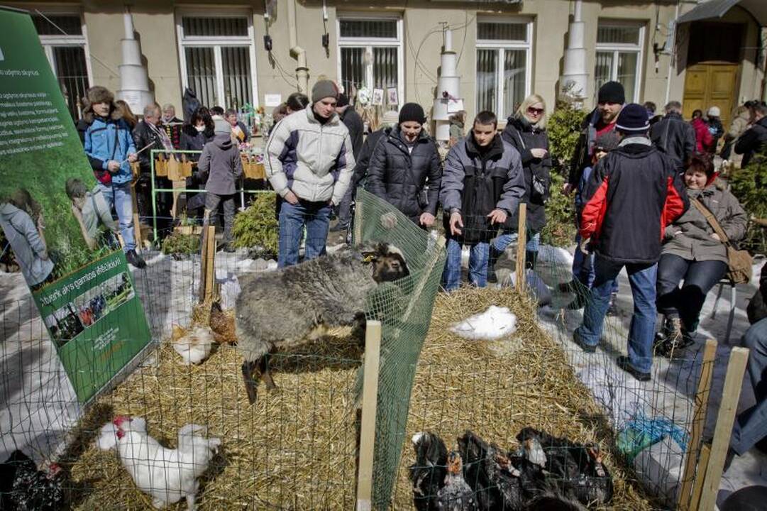Pavasariškas oras vilniečius viliojo švęsti Atvelykį