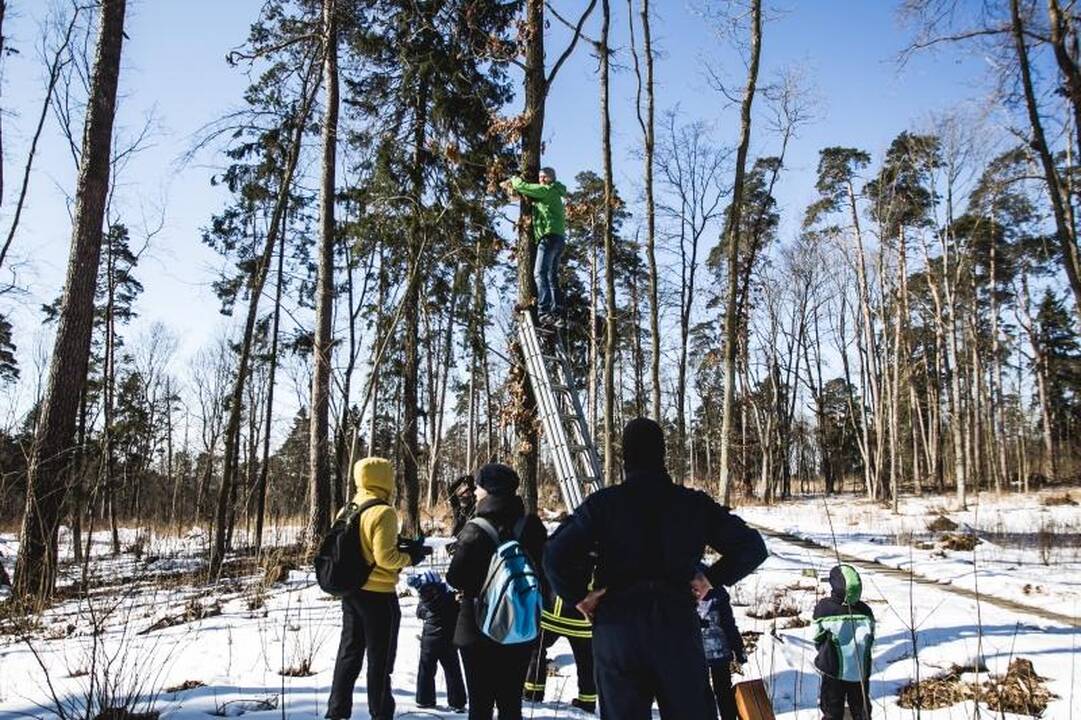 Panemunės šile iškelta per 100 naujų inkilų