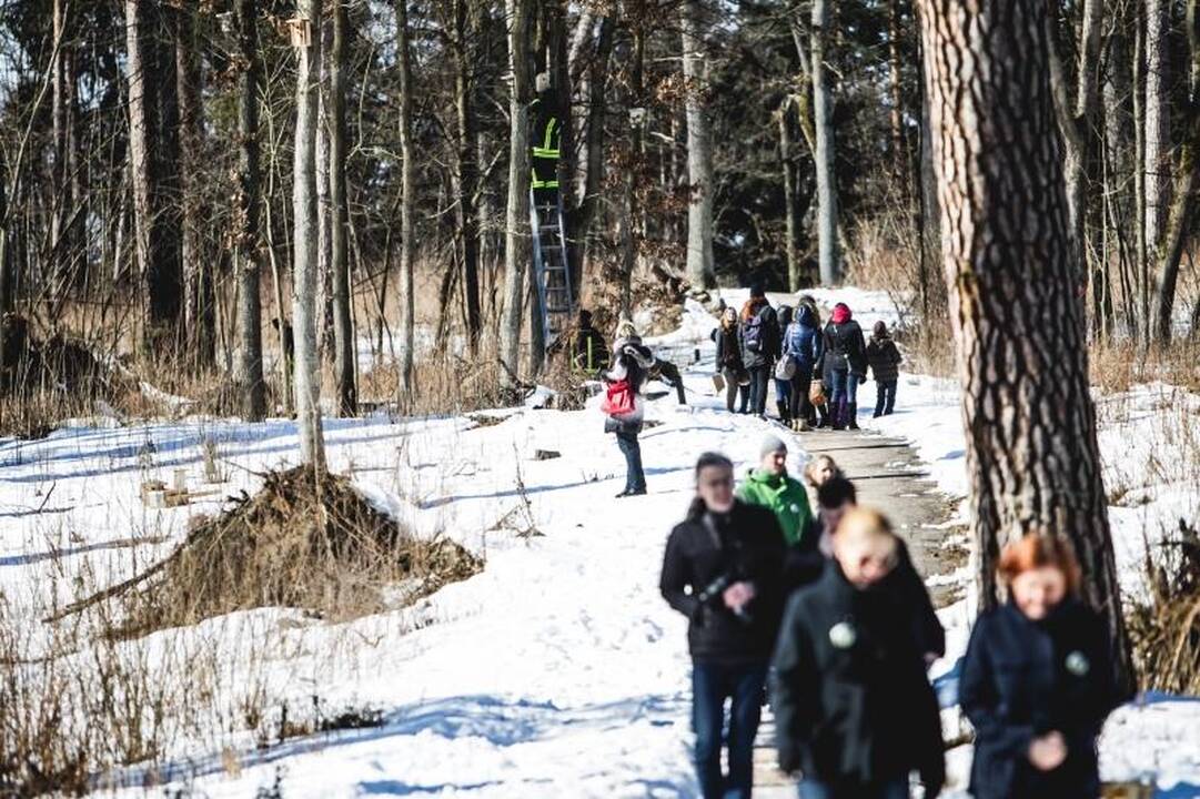 Panemunės šile iškelta per 100 naujų inkilų