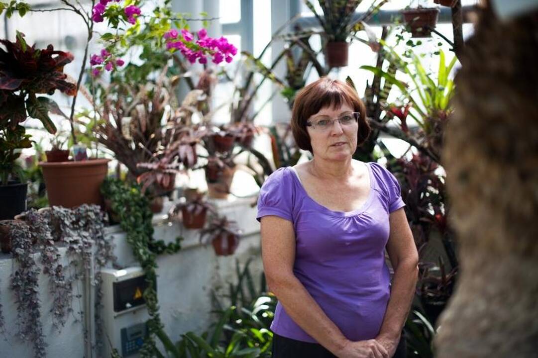 Oranžerijos augalams kepinančios dienos – laukiamiausios