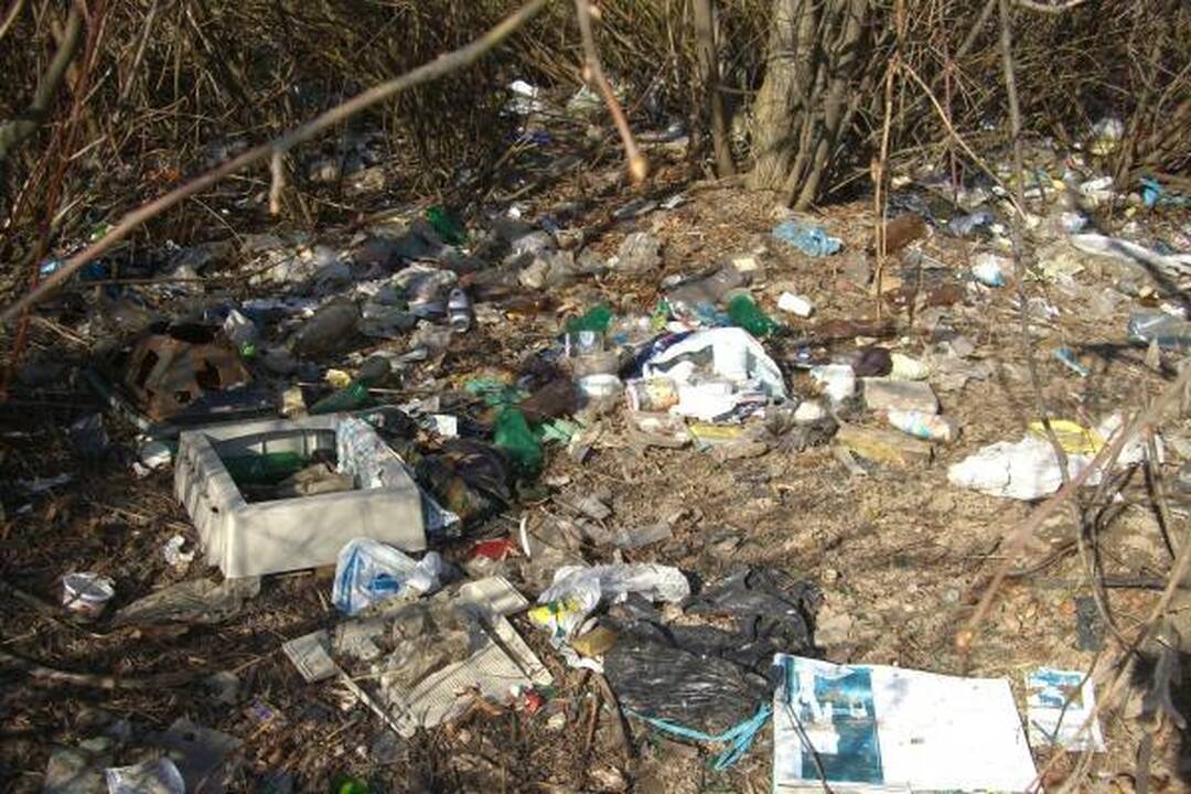 Šiukšles iš Panemunės šilo padėjo valyti ir gyventojai