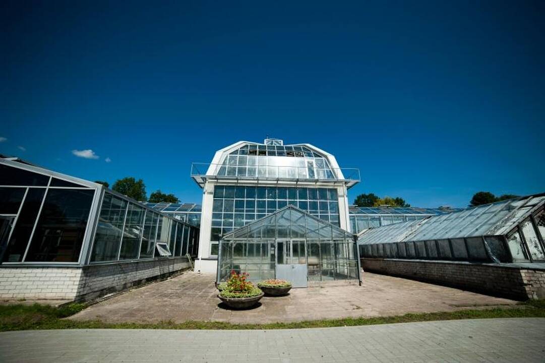 Oranžerijos augalams kepinančios dienos – laukiamiausios