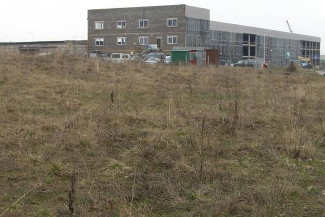 Šiukšles iš Panemunės šilo padėjo valyti ir gyventojai