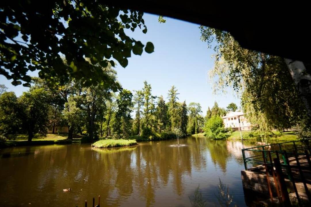 Oranžerijos augalams kepinančios dienos – laukiamiausios
