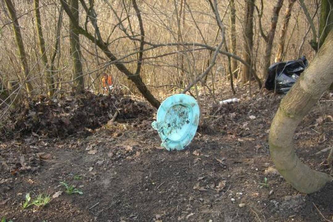 Šiukšles iš Panemunės šilo padėjo valyti ir gyventojai