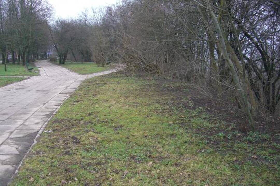 Šiukšles iš Panemunės šilo padėjo valyti ir gyventojai