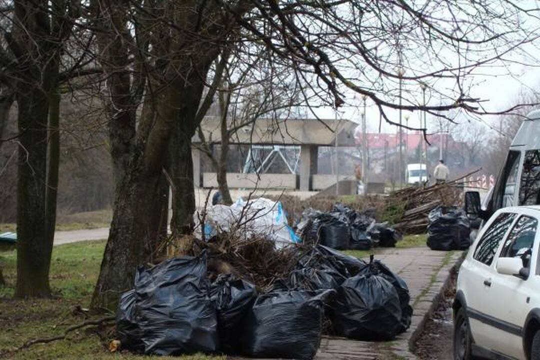 Šiukšles iš Panemunės šilo padėjo valyti ir gyventojai