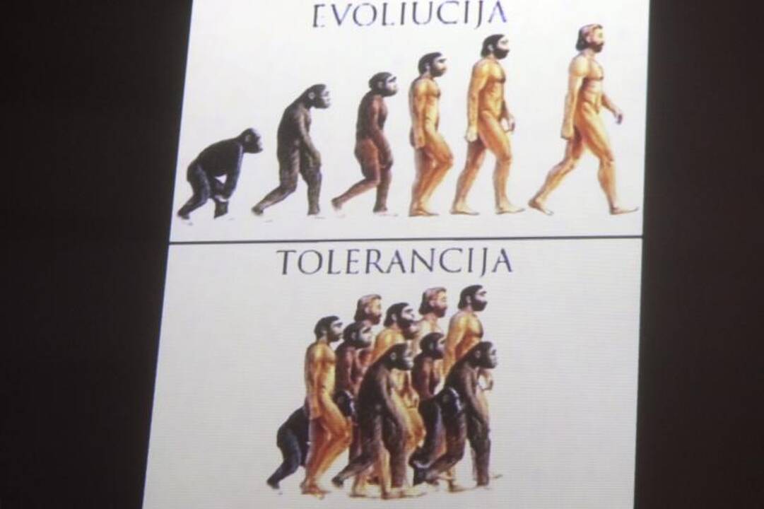 Politologas: tautiškumo idėjos šaliai reikalingos