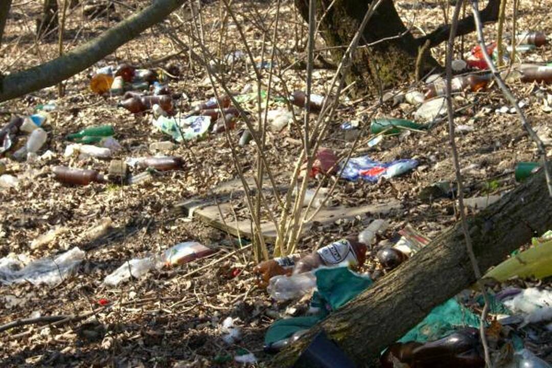 Šiukšles iš Panemunės šilo padėjo valyti ir gyventojai