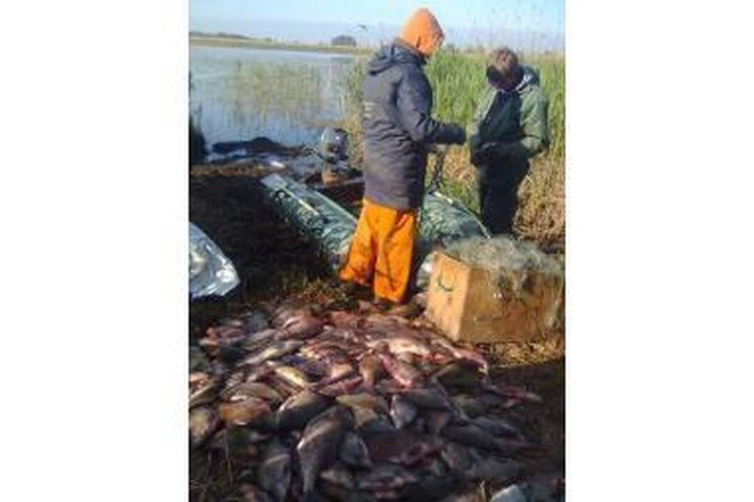 Pamaryje aplinkosaugininkams įkliuvo brakonieriai