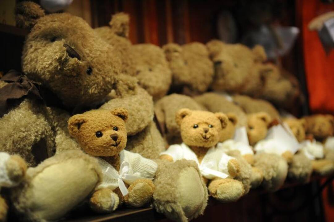 Paroda „Vaikų šalis“: nuo žaislų ligoninės iki knygų vežimėlyje
