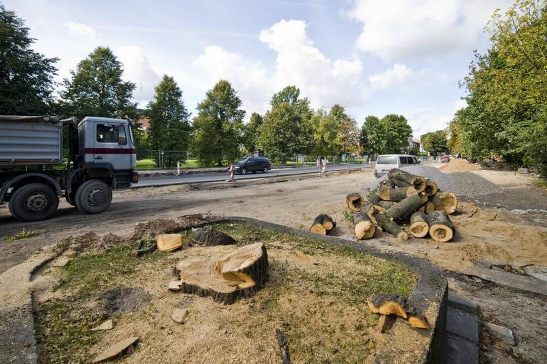 Ant Parodos kalno aukojamos ilgaamžės liepos