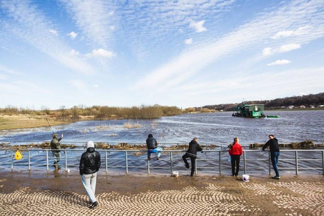 Laivai pakėlė inkarus kelionei Nemunu – startavo laivybos sezonas
