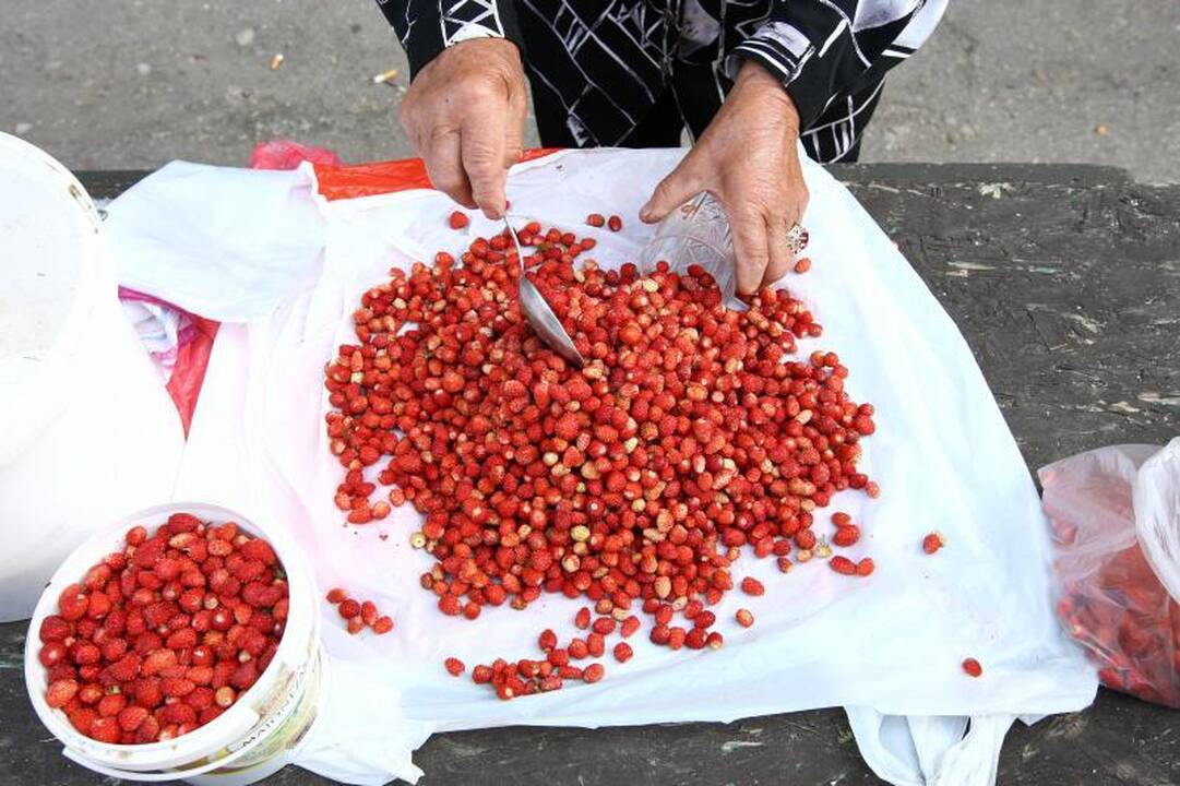 Turguje pakvipo lietuviškomis braškėmis: po 24 litus už kilogramą