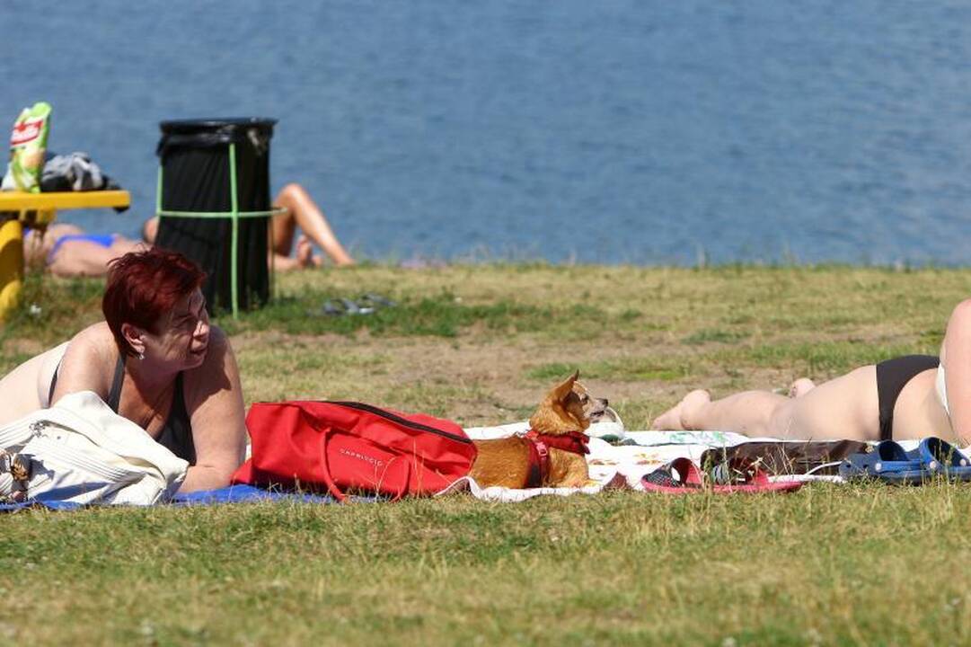 Nepaisant draudimų, į pliažą – su šunimis