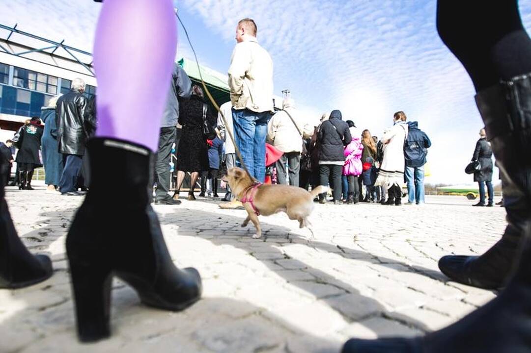Laivai pakėlė inkarus kelionei Nemunu – startavo laivybos sezonas