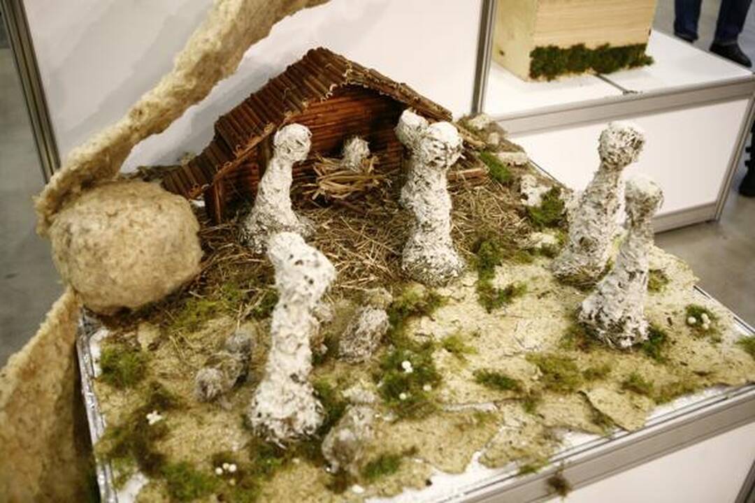 "Litexpo" renkasi floristikos mėgėjai