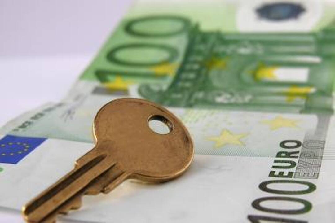 Euro kritimas turi įtakos žaliavos ir metalų kainų kritimui