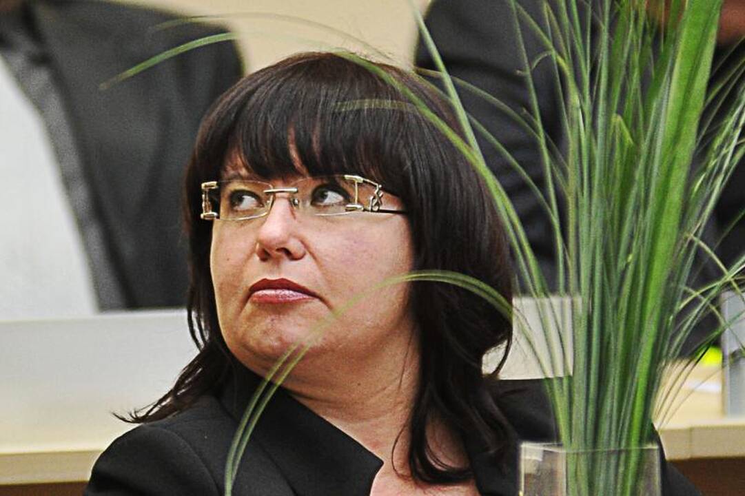 K.Kriščiūnas atleistas iš vicemero posto