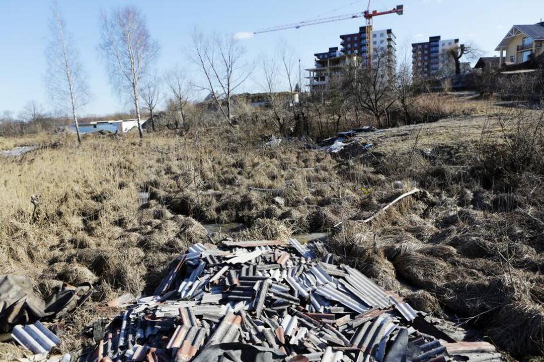 Nelegalių sąvartynų Klaipėdoje nemažėja 