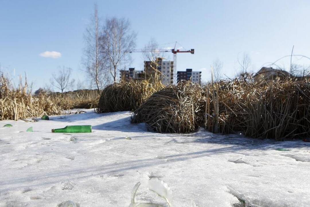 Nelegalių sąvartynų Klaipėdoje nemažėja 