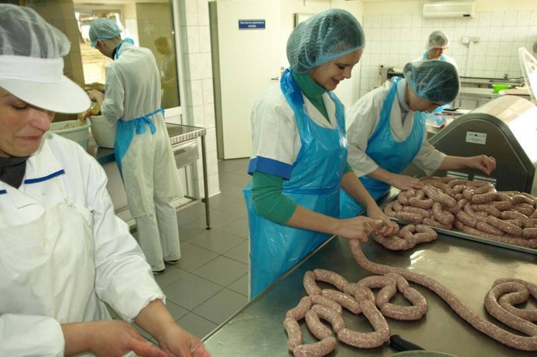 Kauno maisto pramonės ir prekybos mokymo centras: augimas ir plėtra