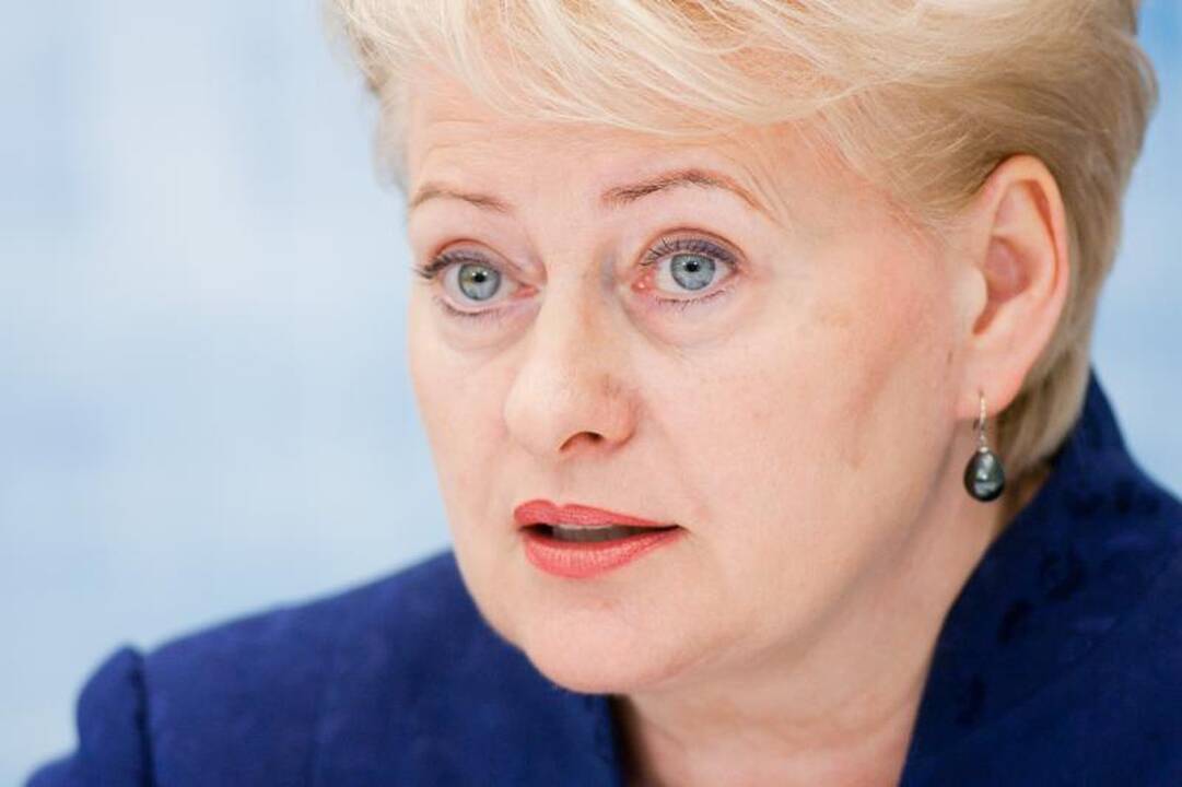 Prezidentė: Austrijos elgesys diskreditavo Europos šalių teisinį bendradarbiavimą