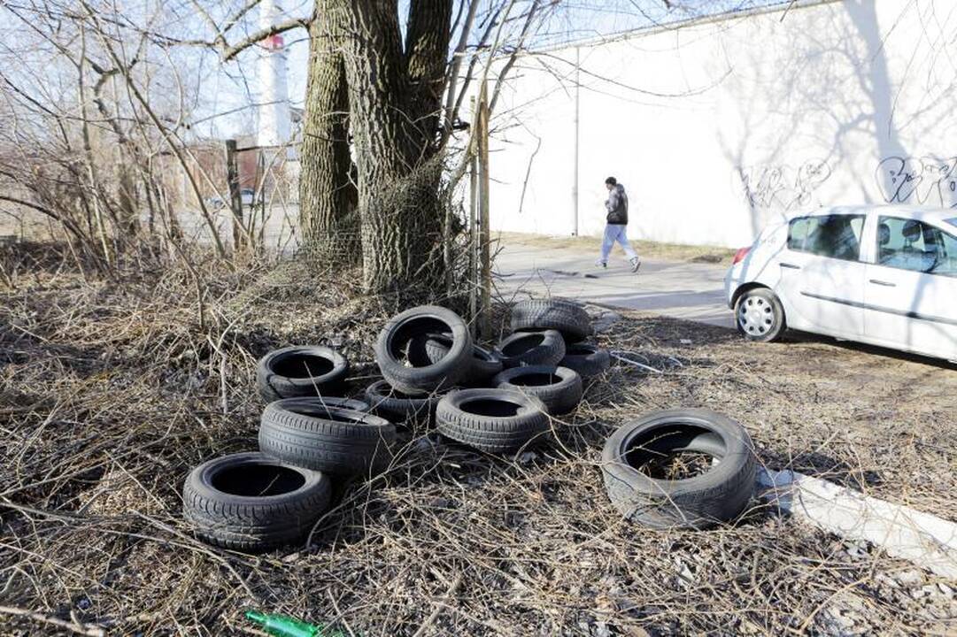 Nelegalių sąvartynų Klaipėdoje nemažėja 