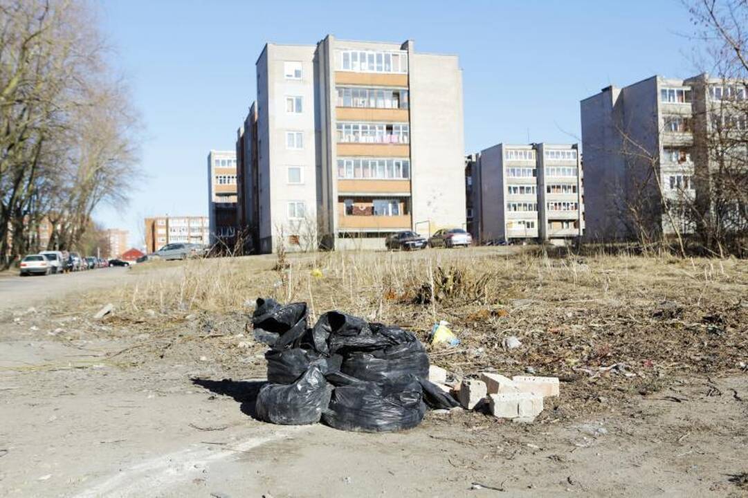 Nelegalių sąvartynų Klaipėdoje nemažėja 