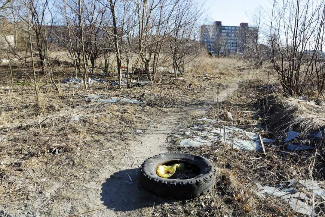 Nelegalių sąvartynų Klaipėdoje nemažėja 