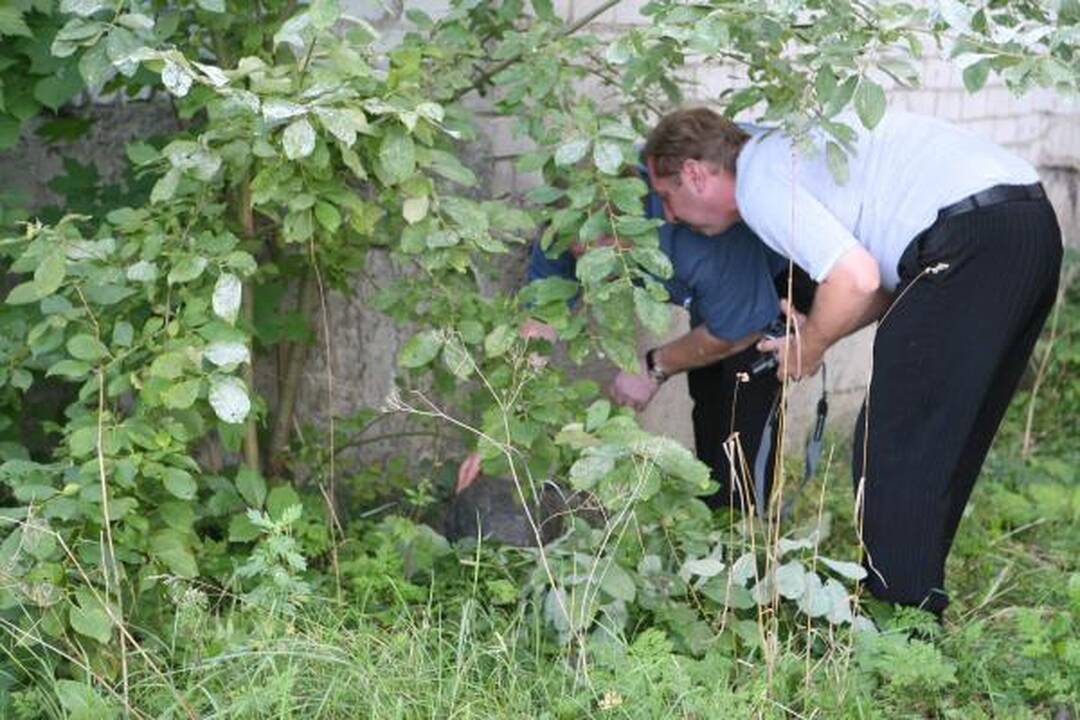 Bronzinės galvos nuo antkapių Klaipėdoje užminė mįslę