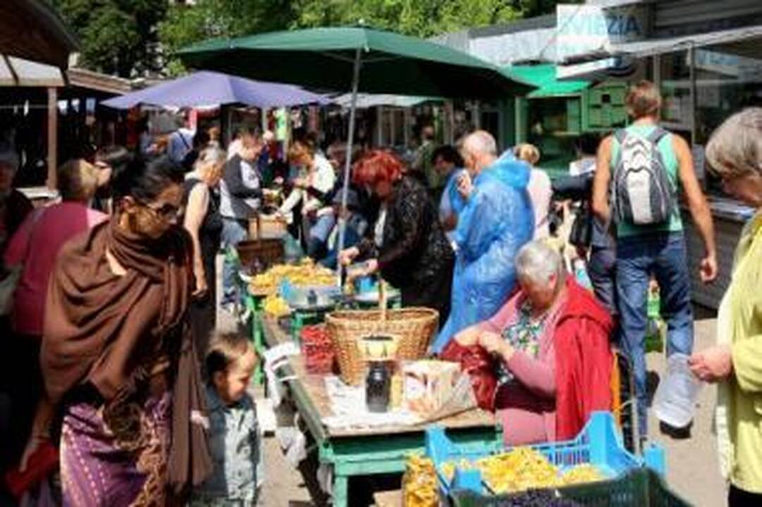 Dauguma: turgaviečių prekystaliai geltonuoja nuo voveraičių.