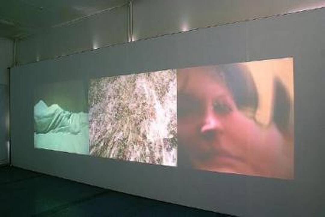 Videoinstaliacija: Sandros Bražiūnaitės "Intymumas".