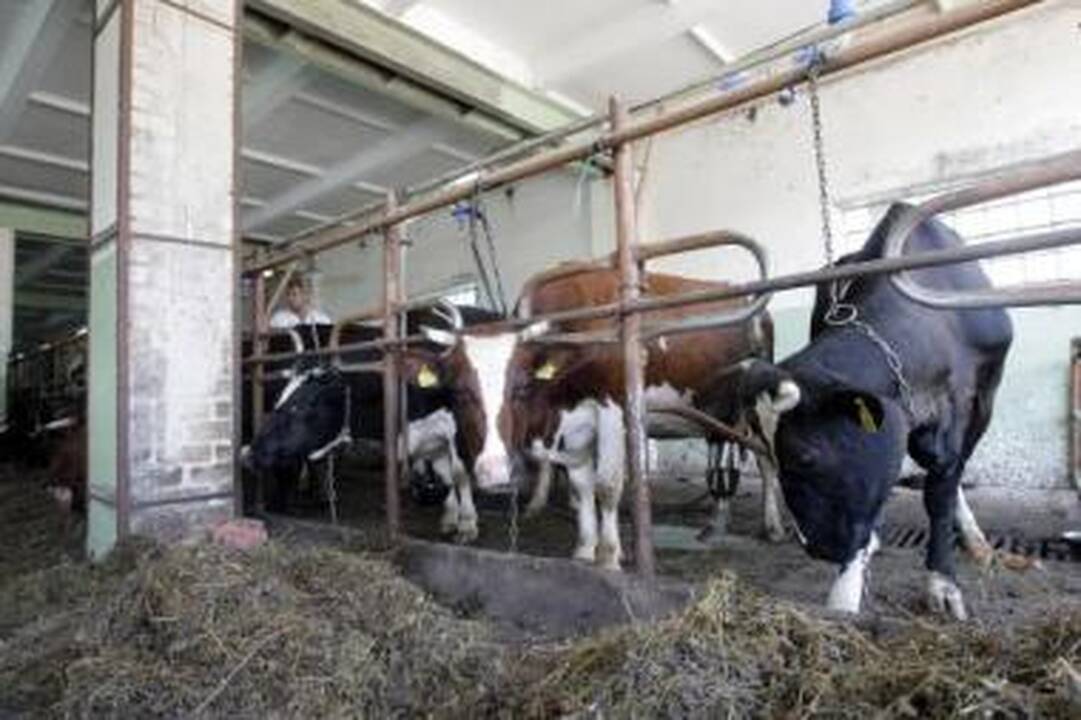Žemdirbiai nusprendė netylėti