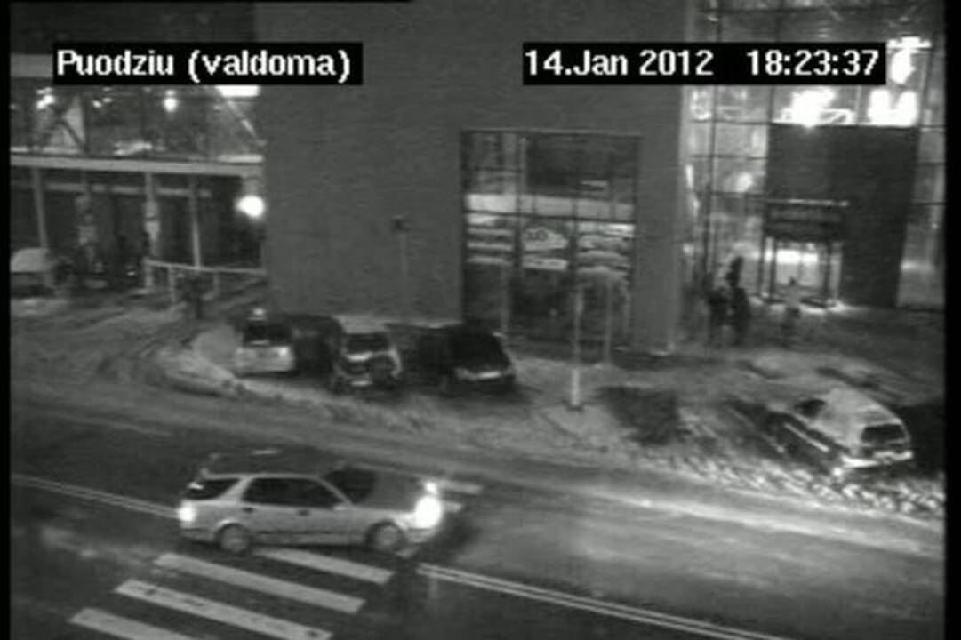 Stebėjimo kameros pildo biudžetą