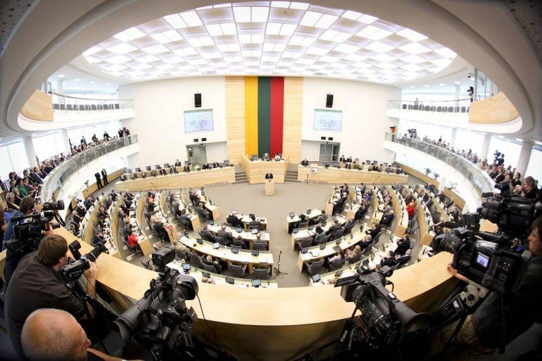 Seimo dauguma nėra konstitucinė