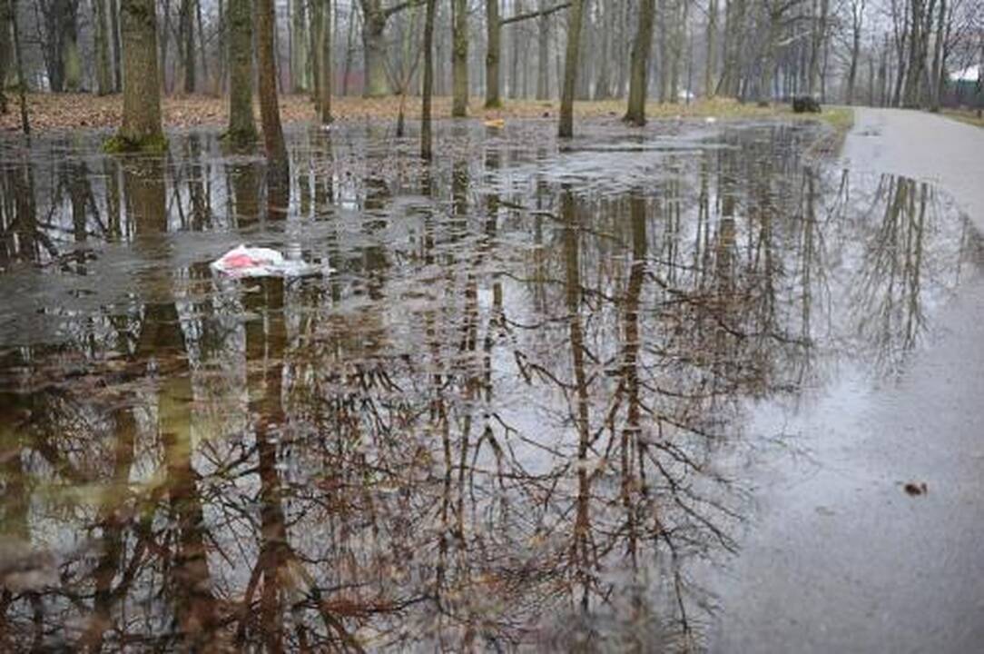 Parkų tvarkdariams pinigų nebeliko