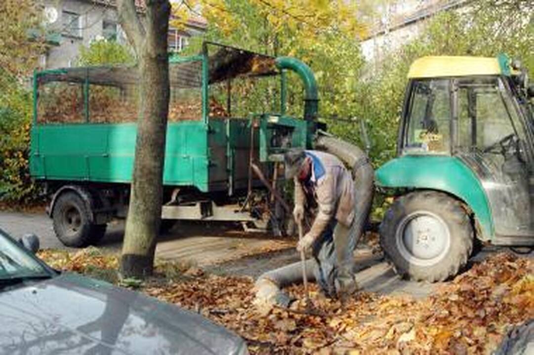 Valytojai nespėja vežti lapų
