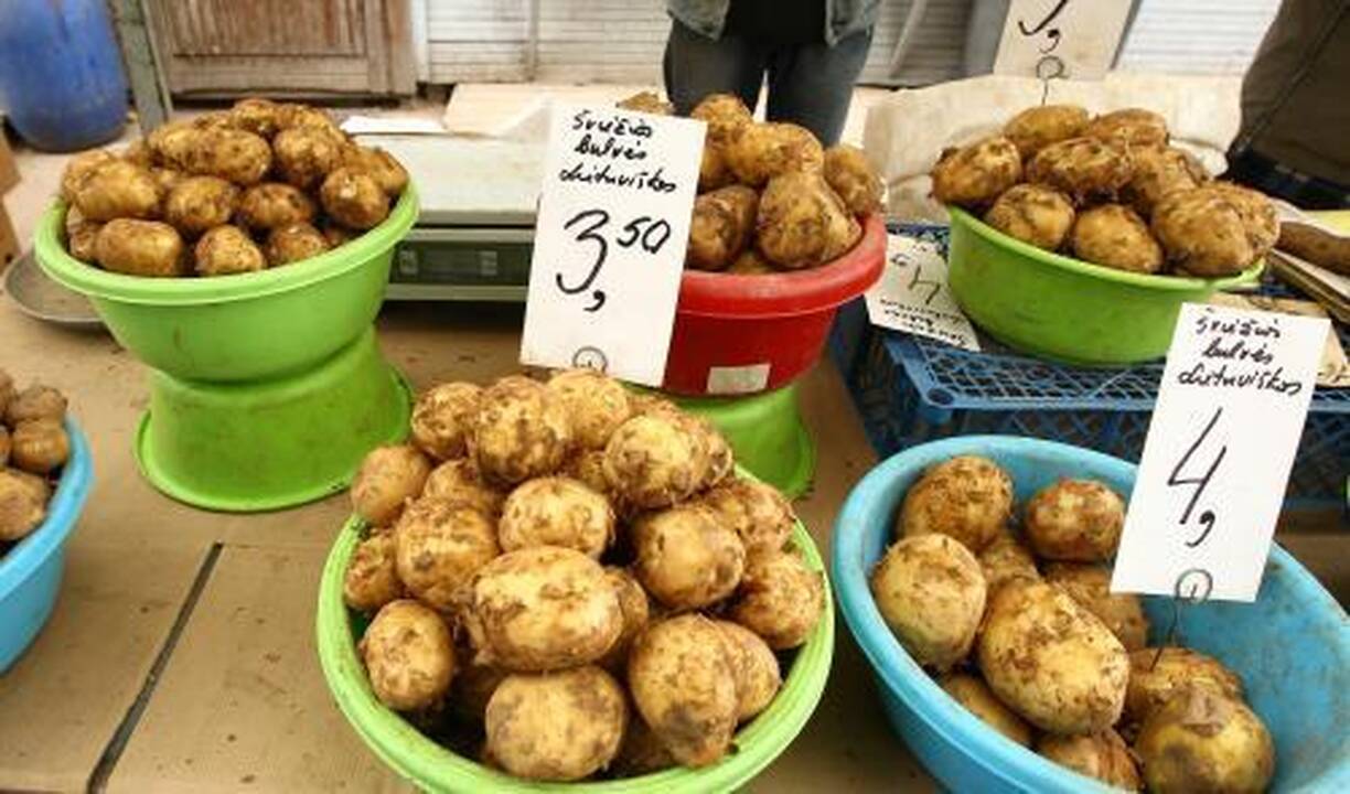 Šviežios lietuviškos bulvės – pigesnės nei pernai