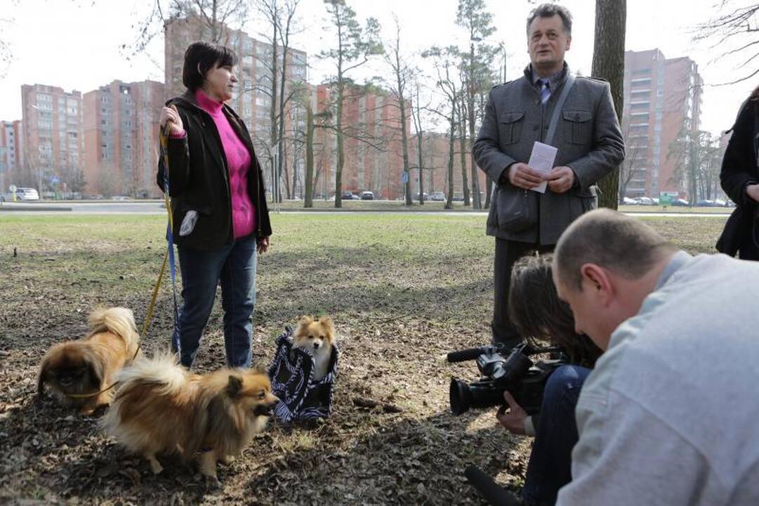 Tikrintojų taikiklyje – uostamiesčio šunų augintojai