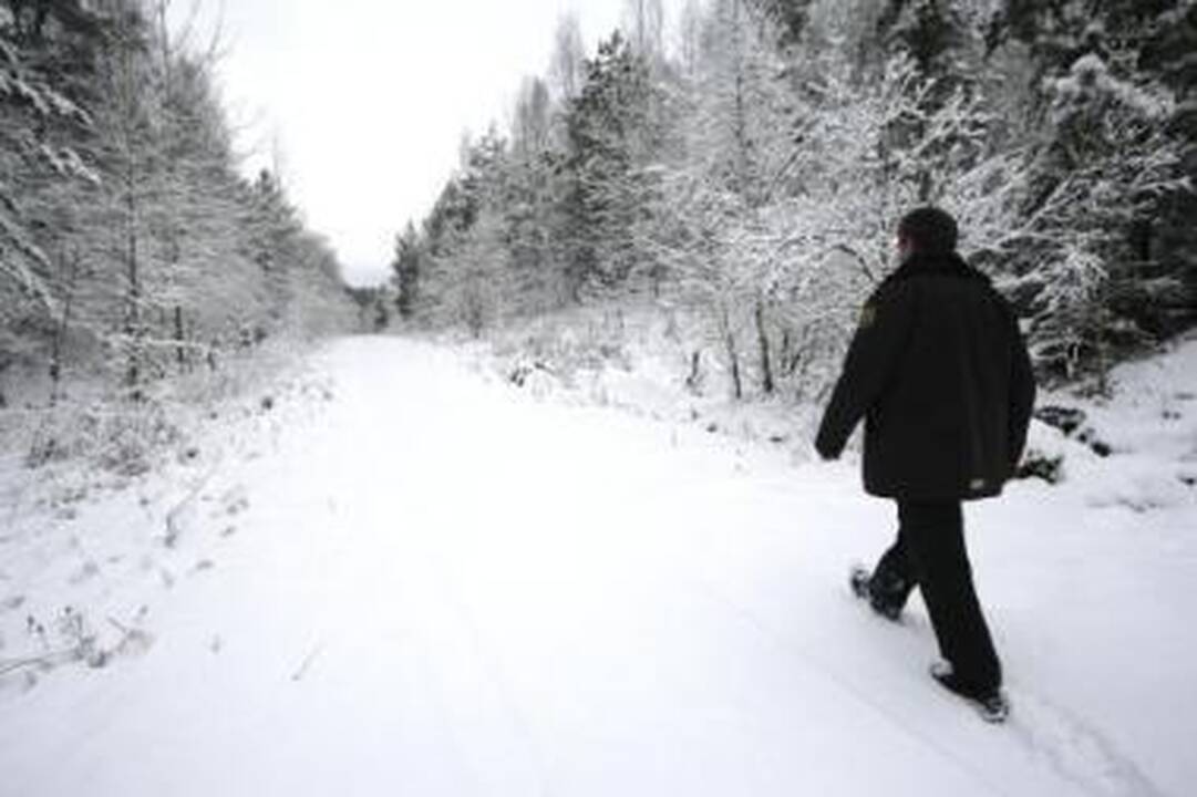 Vogti miškai – atgal valstybei?